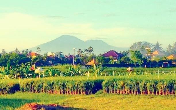 The Hideaway Canggu Екстер'єр фото